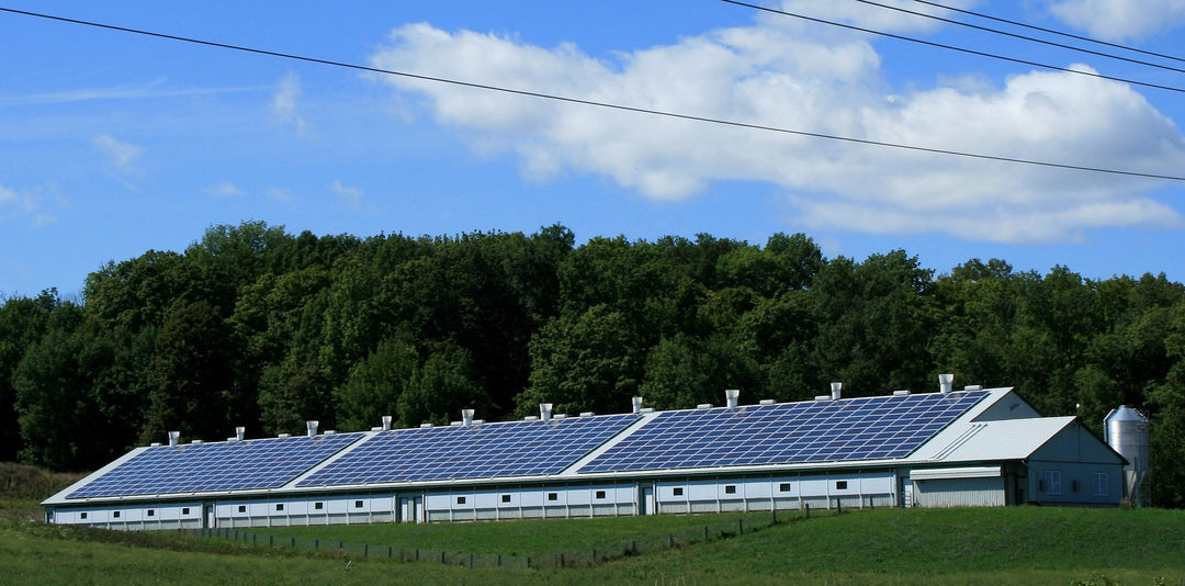 Bør installatører satse på solcelle installasjoner?